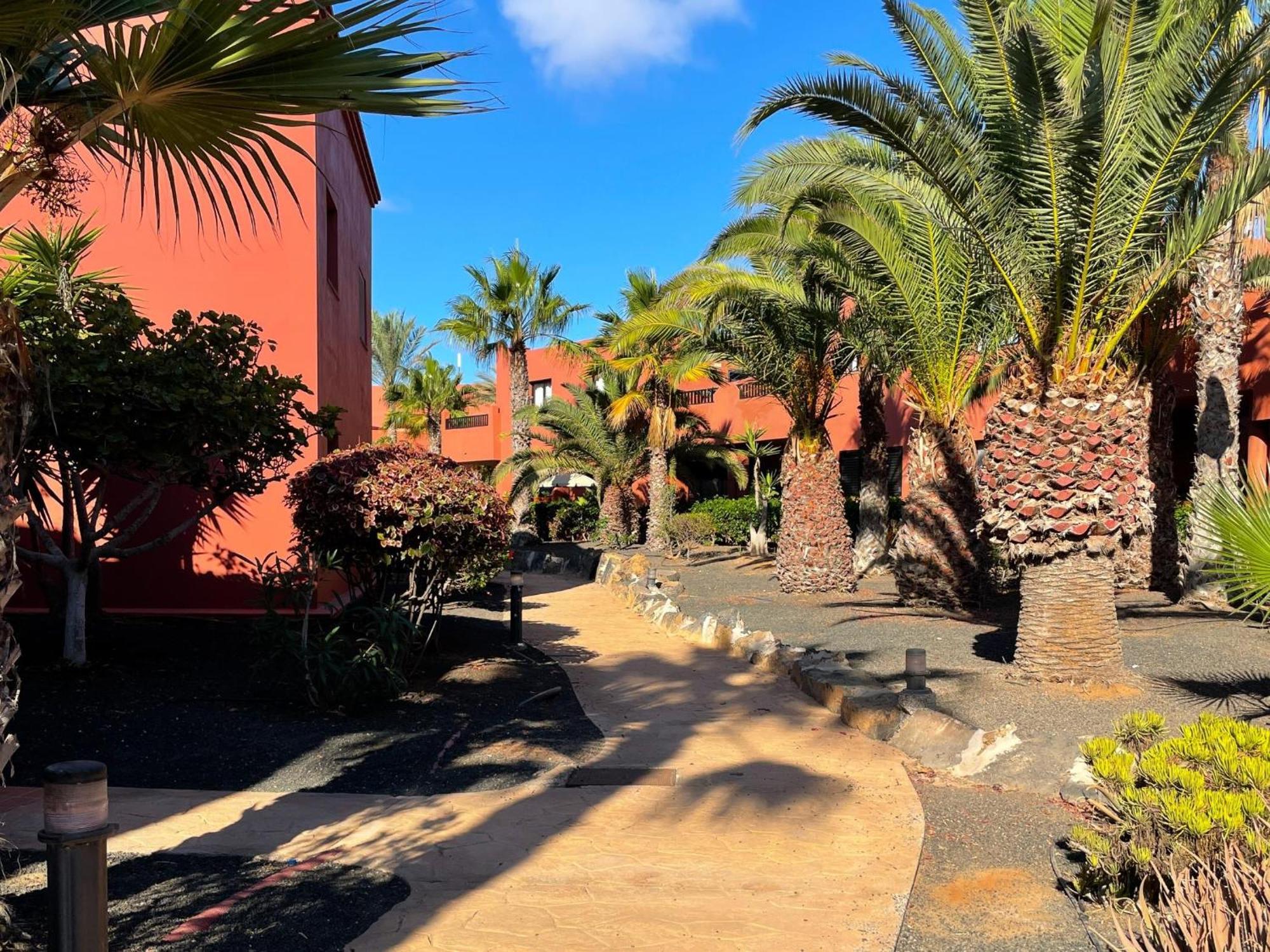 Oasis Tamarindo By Best Holidays Fuerteventura Corralejo Room photo